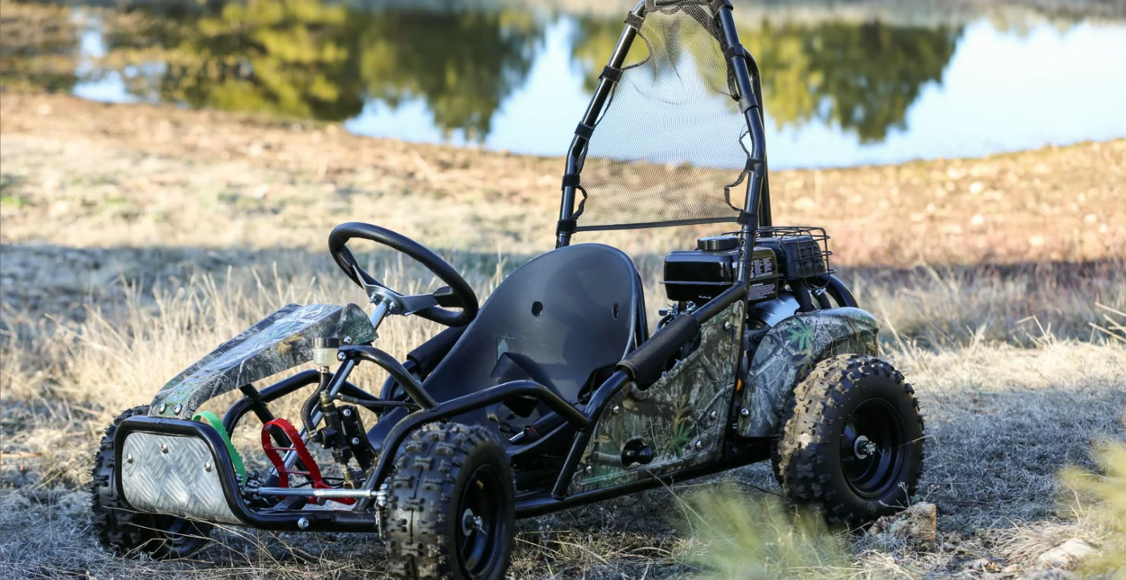 Buggy a Gasolina